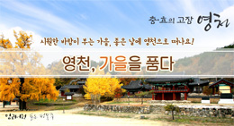 배너
