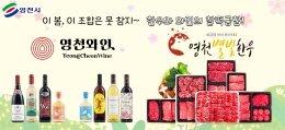 배너