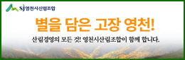 배너