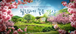 배너