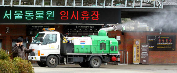 과천 큰기러기 폐사체 AI 양성, 서울대공원 휴원 / 뉴시스