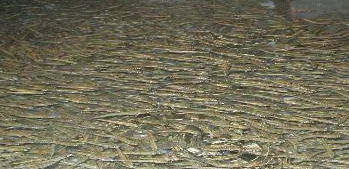 //첨부용//뉴시스