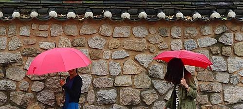 빨간우산 쓴 시민/뉴시스