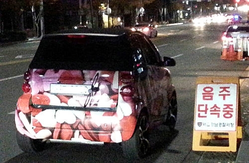 음주 단속에 걸린 노홍철 /뉴시스