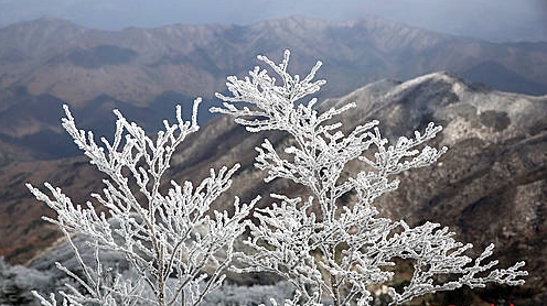 무주 덕유산 향적봉 새하얀 상고대 /뉴시스
