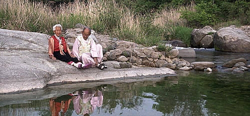 님아, 그 강을 건너지 마오, 영화/뉴시스