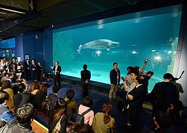 롯데월드몰 수족관 안전성에 몰린 관심/뉴시스