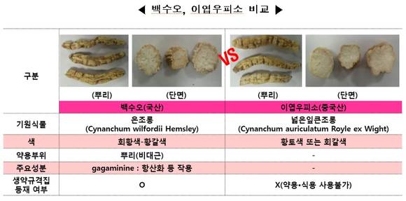 백수오/뉴시스
