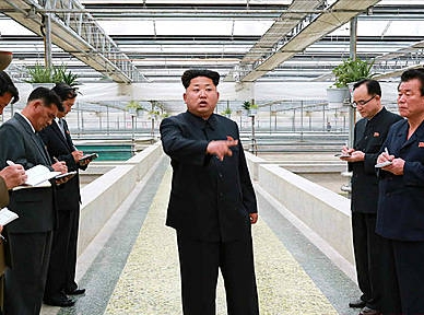 北 김정은, 대동강자라공장 현지지도/뉴시스