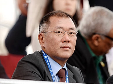 정의선 회장/뉴시스