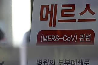 메르스 종식은 언제?/뉴시스