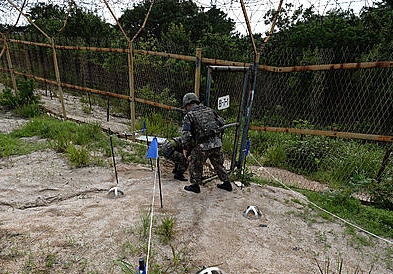 서부전선 DMZ 지뢰도발/뉴시스