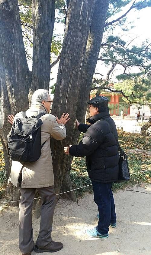 문화재청 시각장애인해설사/뉴시스