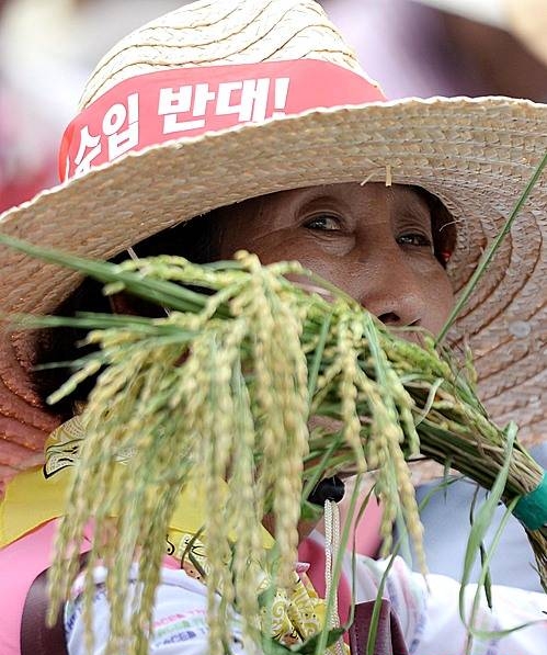 밥쌀용 쌀 수입 저지 전국농민대회/뉴시스