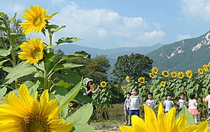 쾌청한 가을날씨/뉴시스