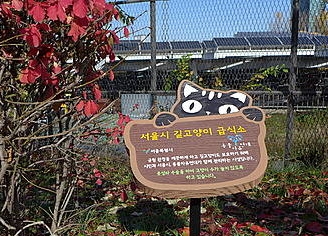 길고양이 급식소/뉴시스