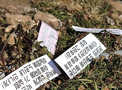 산천어축제장 일원서 북한 대남전단 발견/뉴시스