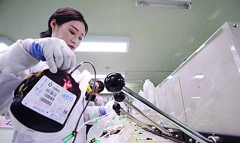 혈액제제하는 직원들