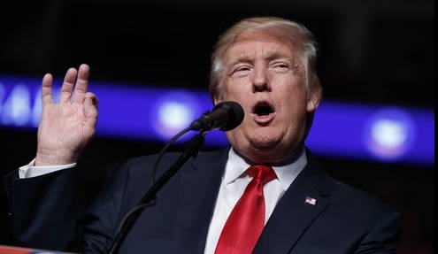 도널드 트럼프/뉴시스