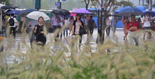 가을을 맞이한다는 절기 '처서(處暑)'이면서 수도권과 영서지방에 200mm 이상의 비가 내린 23일 오전 서울 청계광장 수크령 앞으로 우산을 쓴 시민들이 발길을 재촉하고 있다. 비는 전국으로 확대돼 내일까지 이어질 전망이다./뉴시스