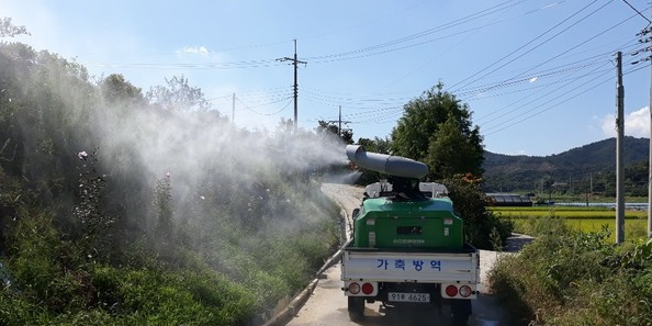 아프리카 돼지열병 방역 모습