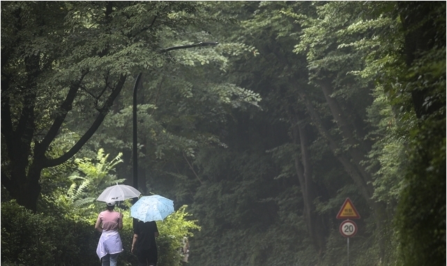 비가 내린 지난 1일 오후 서울 중구 남산에서 우산을 쓴 시민들이 발걸음을 옮기고 있다. 2021.08.01.