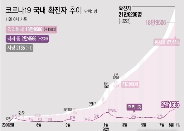 <자료: 질병관리청> 11일 0시 기준 코로나19 누적 확진자는 전날 0시 이후 2223명 늘어난 21만6206명이다. 사망자는 1명이 증가해 누적 2135명으로 집계됐다. 현재 격리돼 치료 중인 환자는 239명 증가해 총 2만4565명이다.