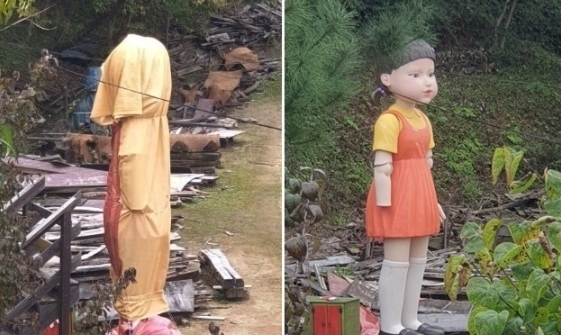 (사진 왼쪽)28일 오전 진천 마차박물관 체험마을 뒤편에 세워져 있던 오징어게임 술래 인형에 위장막이 씌워져 있다. 사진 오른쪽은 오른손이 파손된 채 마차 박물관에 세워져 있던 술래인형 모습. (사진=뉴시스, 독자 제공) 2021.09.28.