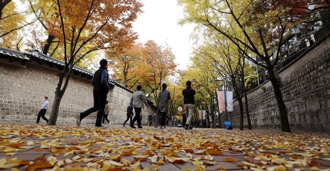  완연한 가을날씨를 보인 지난 1일 오후 시민들이 단풍으로 물든 서울 중구 덕수궁 돌담길을 지나고 있다.