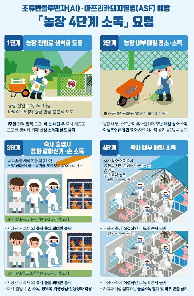  고병원성 조류인플루엔자 예방 가금농장 4단계 소독 요령.