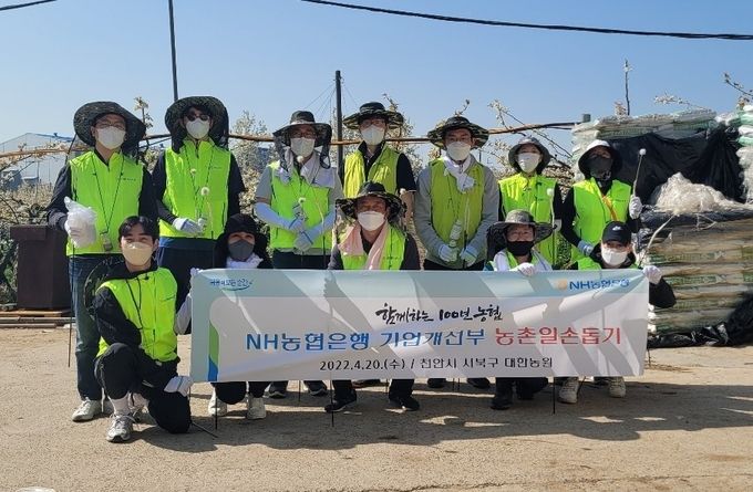 NH농협은행 기업개선부 임직원들이 일손돕기 활동 후 기념촬영을 하고 있다. ⓒ 파이낸셜데일리 / NH농협은행