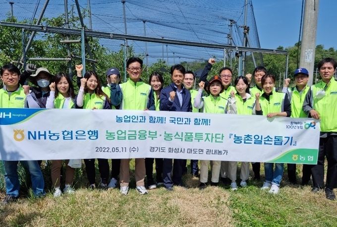 NH농협은행 농업금융부 서준호 부장(앞줄 왼쪽 네 번째)과 직원들이 경기도 화성시 마도면 소재 사과농장에서 일손 돕기 실시 후 기념촬영을 했다. ⓒ 파이낸셜데일리 / NH농협은행