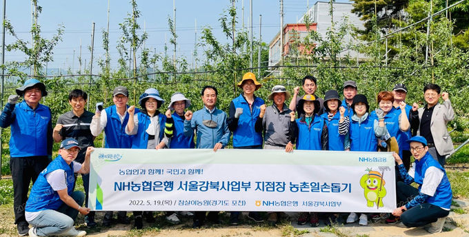 NH농협은행 강태영 서울강북사업본부장(사진 뒷줄 왼쪽 일곱번째)과 지점장들이 19일 포천시 창수면 오가리 소재 사과 농가를 방문해 사과 꽃따기와 농가 일대 자연 정화 활동 등 일손돕기에 구슬땀을 흘렸다 ⓒ 파이낸셜데일리 / NH농협은행