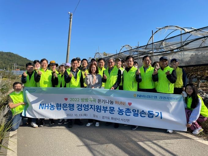 13일 NH농협은행 경영지원부문 이수환 부행장(첫줄 왼쪽에서 3번째)과 직원들은 경기도 화성시 서신면 소재 포도 재배 농가를 찾아 일손돕기에 구슬땀을 흘렸다. ⓒ 파이낸셜데일리 / NH농협은행