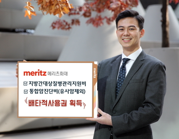 메리츠화재, ‘지방간대상질병관리지원비’ 등 2개 담보 배타적사용권 획득 ⓒ 파이낸셜데일리 / 메리츠화재
