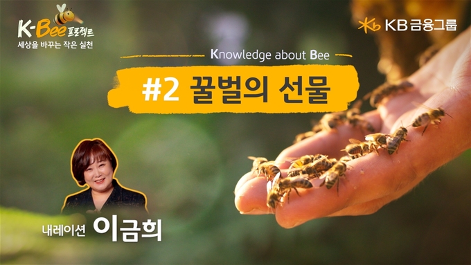 KB금융그룹, `꿀벌의 선물` 영상 공개 ⓒ 파이낸셜데일리 / KB금융그룹
