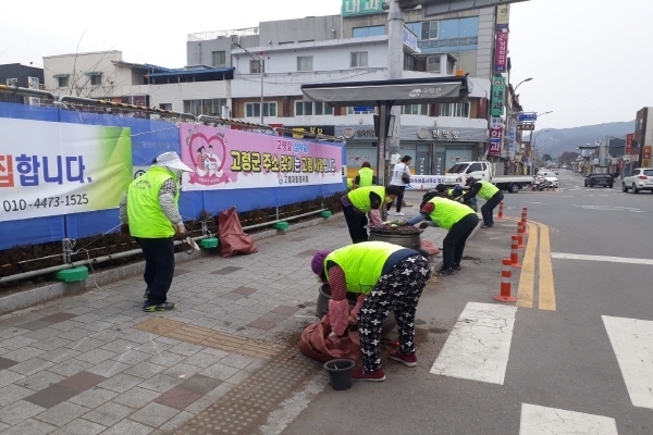 청사입구 및 시가지 주변 가로화분에 꽃양배추를 식재 ⓒ파이낸셜데일리/고령군
