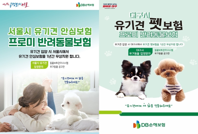 DB손해보험 유기견 보험정책 ⓒ 파이낸셜데일리 / DB손해보험