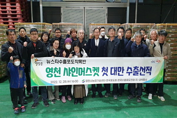 최고 품질 샤인머스켓 대만 첫 수출 ⓒ파이낸셜데일리/영천시