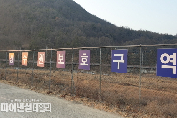  오천리 "상수원 보호구역"내 소나무 간벌목 야적 ⓒ파이낸셜데일리/박미화 기자