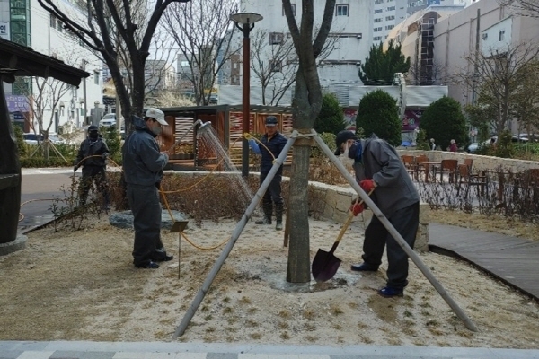 봄철 수목 생육을 촉진하기 위한 긴급 관수 작업 ⓒ파이낸셜데일리/포항시