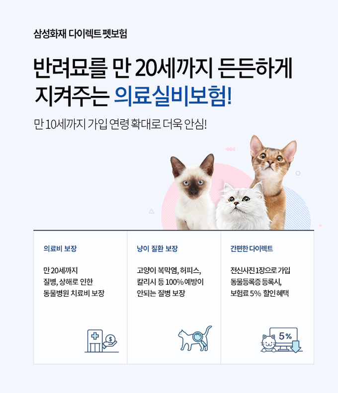 '삼성화재 다이렉트 착', 반려묘를 위한 펫보험 출시 ⓒ 파이낸셜데일리 / 삼성화재
