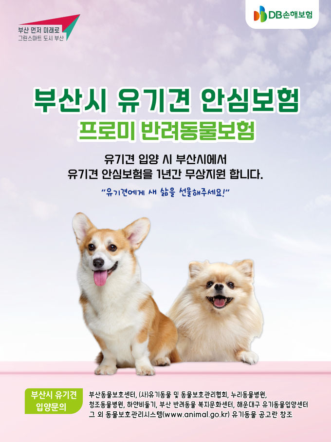부산시 유기견 안심보험 포스터 ⓒ 파이낸셜데일리 / DB손해보험