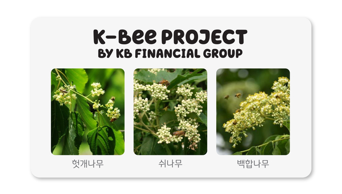 KB금융은 이상 기후로 인해 전국적으로 동시에 꽃이 피고, 개화 유지 기간도 점점 짧아지고 있는 점을 고려하여 헛개나무, 쉬나무, 백합나무 등 다양한 묘목으로 밀원숲을 조성하고 있다. ⓒ 파이낸셜데일리 / KB금융그룹