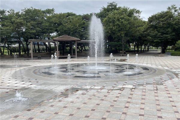도내 공원 설치된 물놀이형 수경시설에 대한 현장 관리 실태를 점검 ⓒ파이낸셜데일리/경북도
