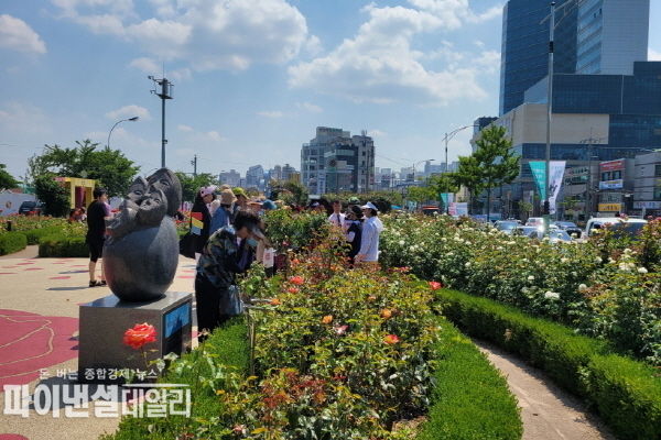 영일대 장미원에서 ‘시민과 함께하는 장미 가꾸기 체험 행사’ ⓒ파이낸셜데일리/포항시