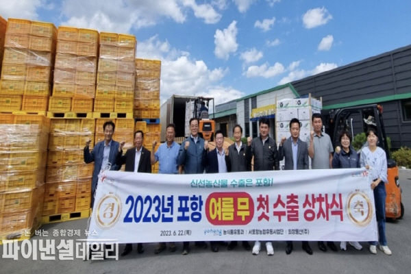 최고 품질의 포항 ‘여름 무’가 미국(LA, 뉴욕)으로 올해 첫 수출 ⓒ파이낸셜데일리/포항시
