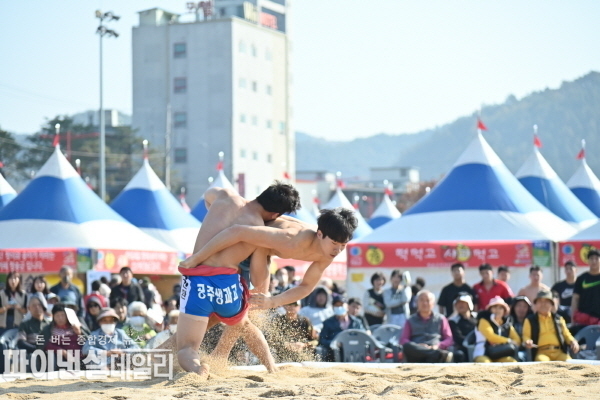  축제장 내 특설씨름장 ⓒ파이낸셜데일리/청송군