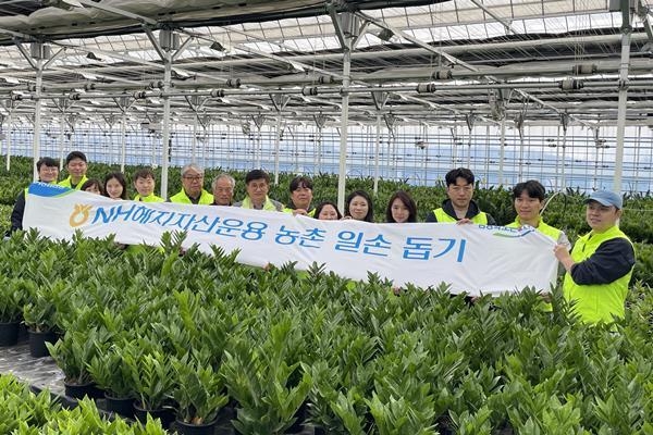 NH헤지자산운용은 11월 6일(월) 김포시 고촌읍 신곡리 701-4 샤론농원을 방문해 농촌일손돕기를 진행했다. 이동훈 NH헤지자산운용 대표이사(왼쪽 여섯번째)와 고촌농협 조동환 조합장(왼쪽 여덟번째), 샤론농원 한영만 대표(왼쪽 일곱번째)가 임직원들과 기념촬영을 하고 있다. ⓒ 파이낸셜데일리 / NH헤지자산운용