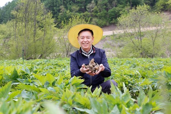 광동제약 계약재배 관련 사진. ⓒ 파이낸셜데일리 / 광동제약